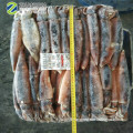 new arrival illex squid illex Argentina for bait 150 -200g
